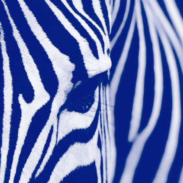 patterning.jpg